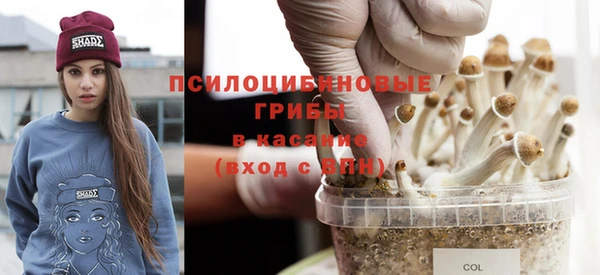 apvp Алексеевка