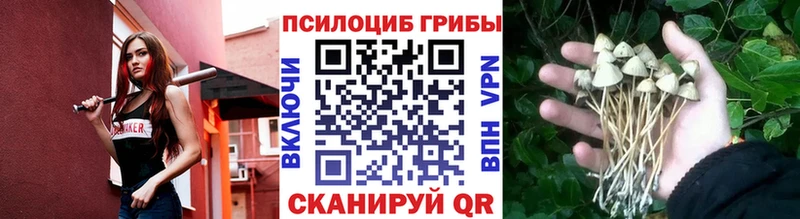 купить закладку  Чёрмоз  hydra как зайти  Псилоцибиновые грибы MAGIC MUSHROOMS 